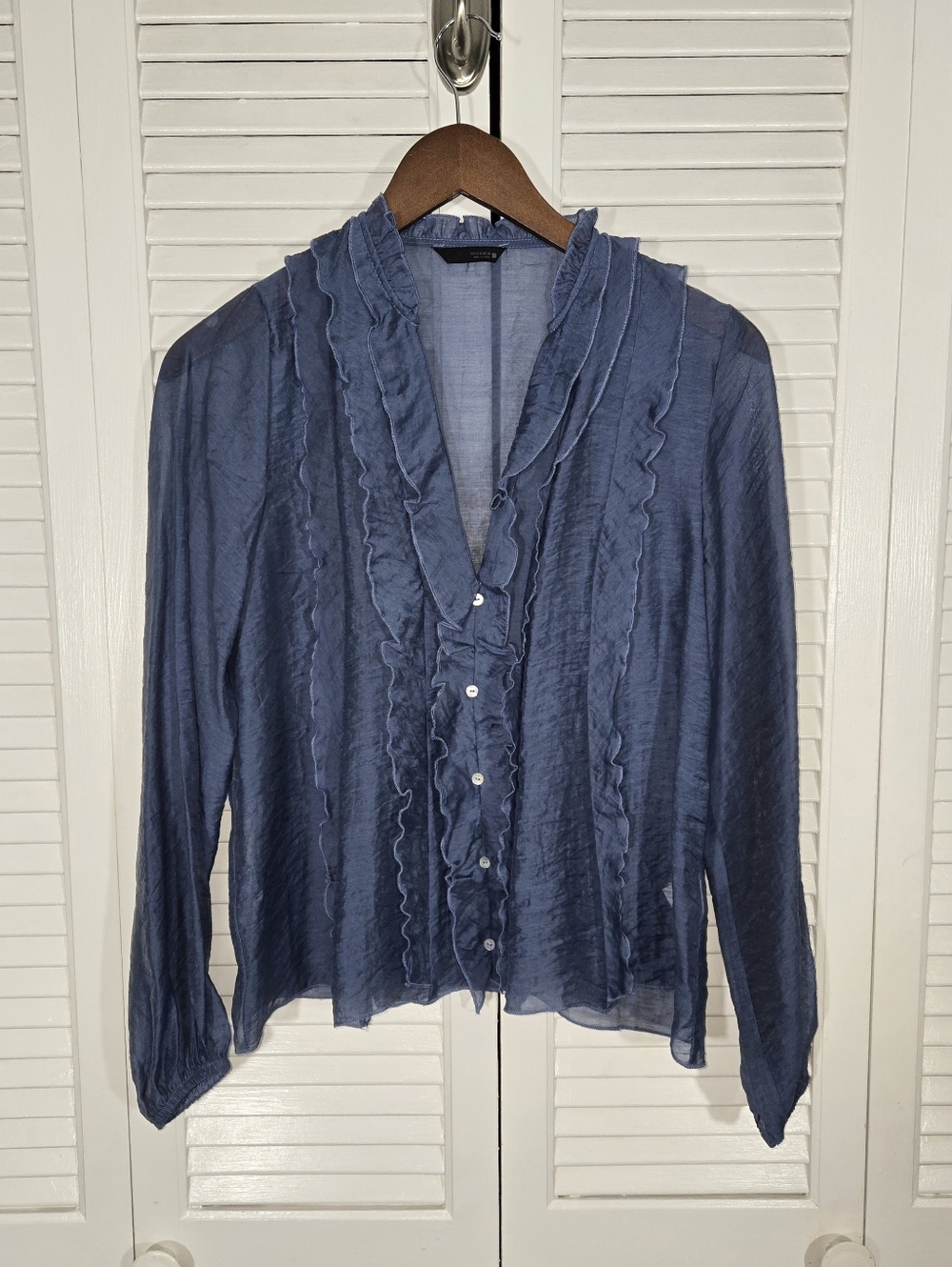 Zara Ruffled Sheer Long Sleeve V Neck Elastic Cuffs Crinkle Chiffon Boho Top S